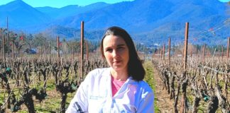 Doctor Cultivates Her Interests in Vision and Vineyards