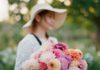 Dahlias Take Up Nearly as Much Time Now as Dilations for Farming OD