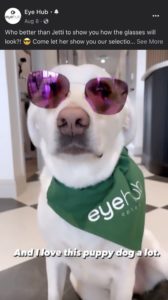 white dog wearing sunglasses and branded bandana