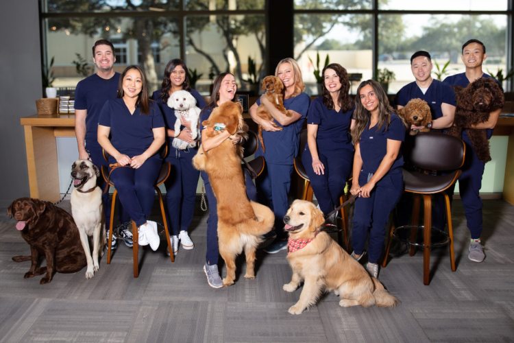 Photo of practice pets shows Dr. Laurie Sorrenson and staff doctors and staff, each with their dog. 
