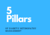 The Five Pillars of Diabetic Retinopathy Management in Optometry