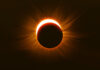 The Buzz Builds in the Path of Eclipse