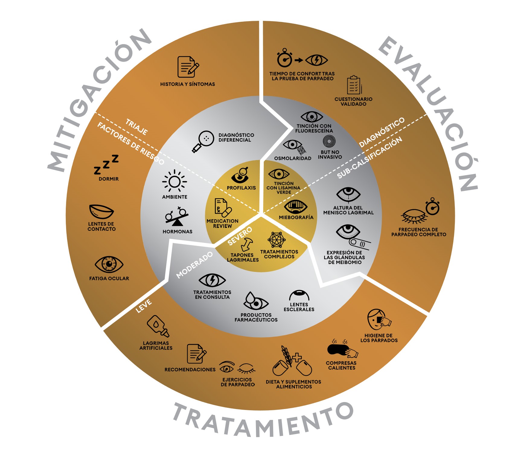 the dry eye wheel in spanish
