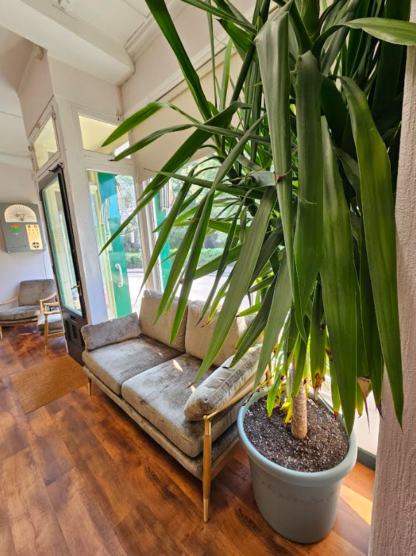 The infamous palm.