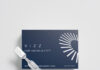 LENZ Therapeutics Announces Commercial Product Availability of VIZZ™ in the U.S.