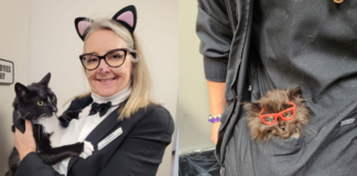 Ohio Practice Doubles as Cat Foster Space