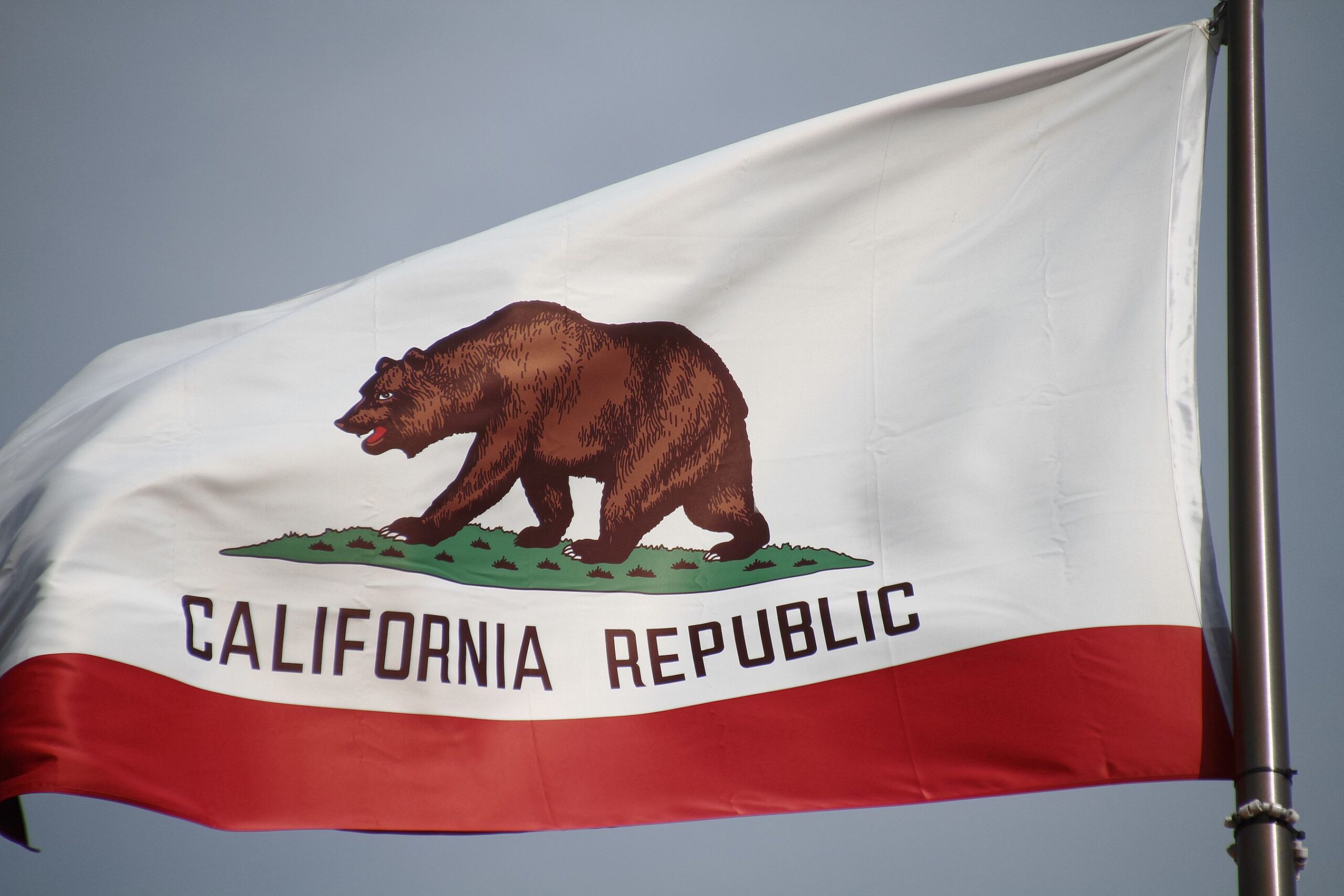 California Report Highlights Major Gap in Eye Care for Children on Medi ...